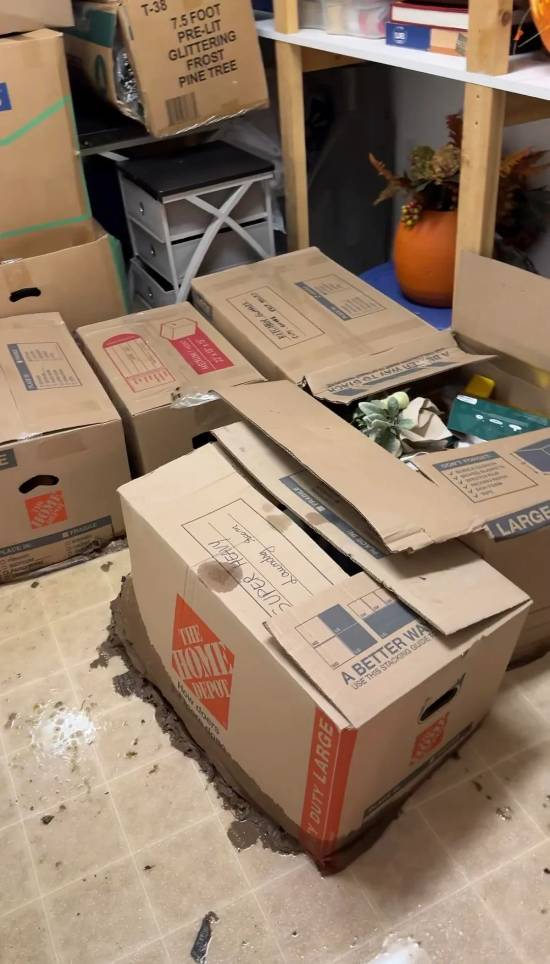 可梦卡牌收藏家因水管爆裂痛失数千美元pg电子试玩网站免费“屎